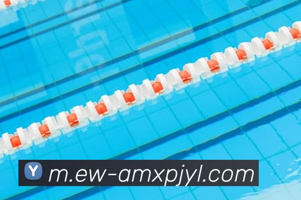 澳门新葡京娱乐平台生态图