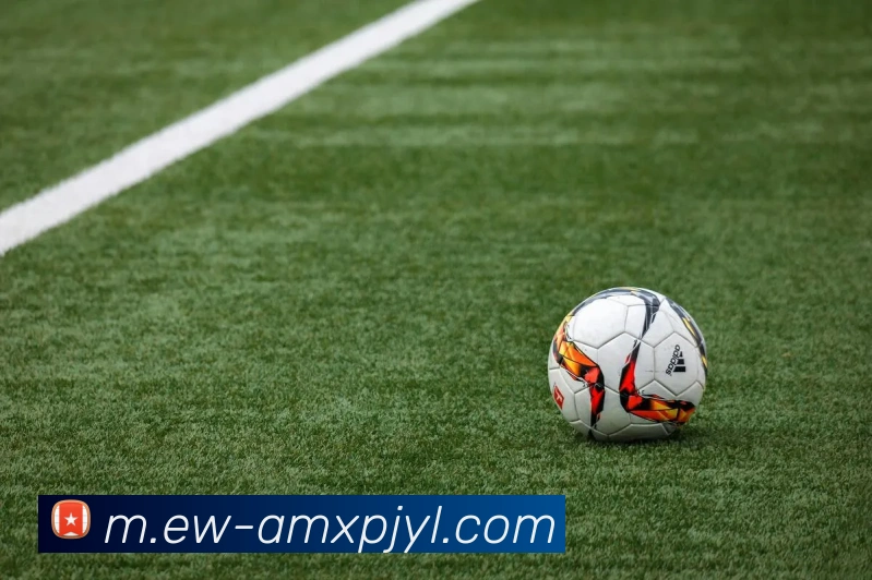 澳门新葡京娱乐全站App 澳门新葡京娱乐全站App